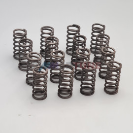 Stiffer valve springs N47 B47 • BMW 125d 320d 23d 25d & other |2008 to 2020|
